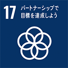 17, パートナーシップで目標を達成しよう